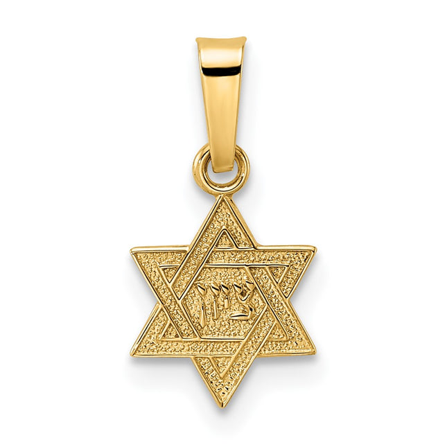 14k Yellow Gold Pendants Style XR1973 - Classique Jewelry Inc.