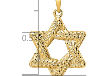 14k Polished and Textured Solid Star of David Pendant (Style XR1977)