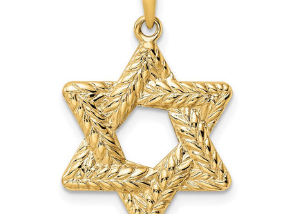 14k Polished and Textured Solid Star of David Pendant (Style XR1977)