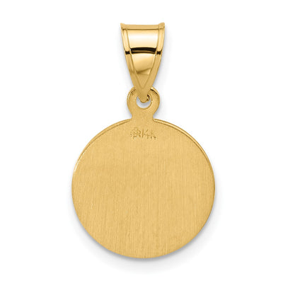 14K Polished and Satin Solid Miraculous Mary Plain Back Medal, 21 x 13.3mm