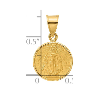 14K Polished and Satin Solid Miraculous Mary Plain Back Medal, 21 x 13.3mm