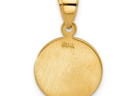 14K gold pendants & charm, another view