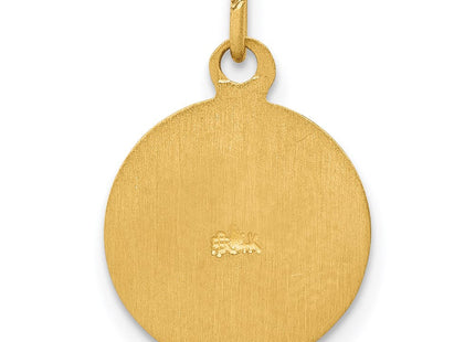 14k Saint Patrick Medal Charm (Style XR637)