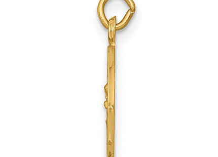 14k Our Lady of Perpetual Help Medal Charm (Style XR642)