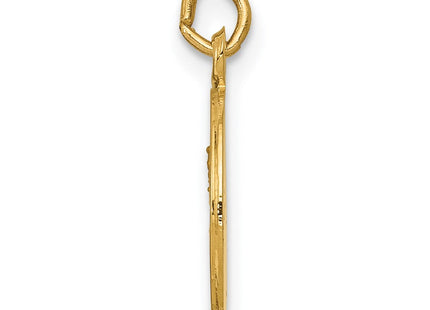 14k Our Lady of Mt. Carmel Medal Charm (Style XR651)