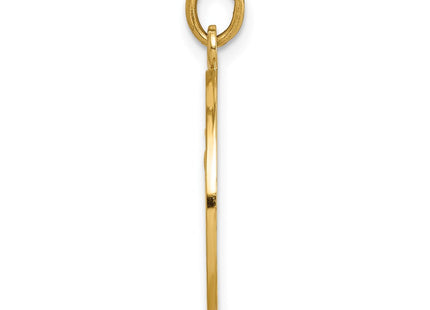 14k Yellow Gold Pendants Style XR666 - Classique Jewelry Inc.