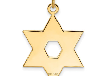 14K Laser Designed Star of David Pendant (Style XR986)