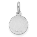 Sterling Silver Rhodium-plated Medical Charm view 2