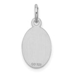 Sterling Silver Rhodium-plated Medical Jewelry Charm view 2