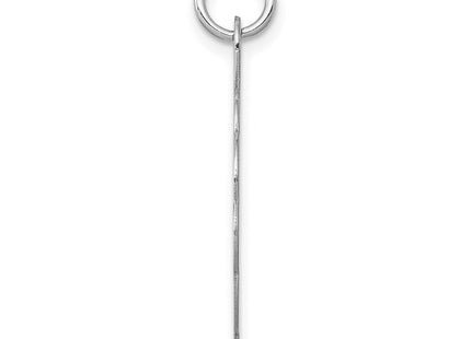 14K white gold disc charm, alternate view