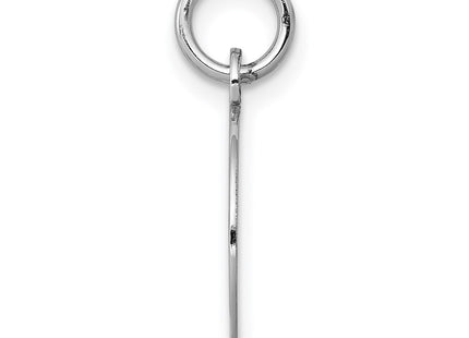 14K white gold disc charm, alternate view
