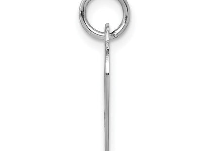 14K white gold disc charm, alternate view