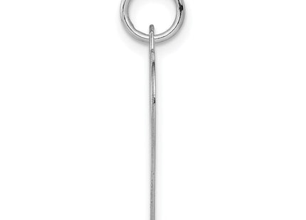 14K white gold disc charm, alternate view