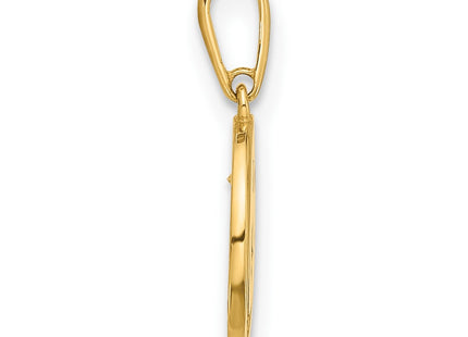 14k Yellow Gold Pendants Style YC1573 - Classique Jewelry Inc.