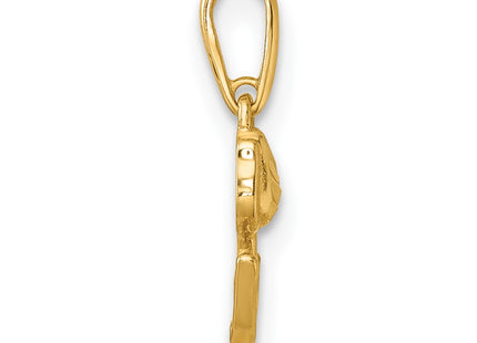 14k Yellow Gold Pendants Style YC1611 - Classique Jewelry Inc.