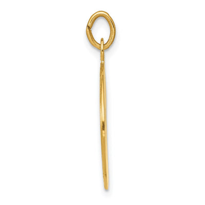 14K Yellow Gold U.S. Air Force Insignia Disc Pendant