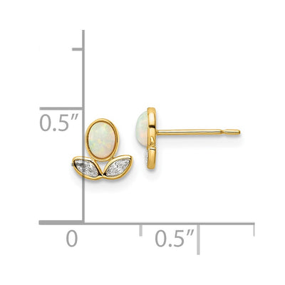 14K CZ & Created Opal Post Earrings