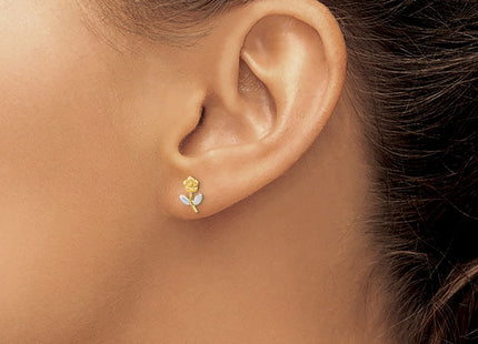 14k Yellow & Rhodium Earrings Style YE2092 - Classique Jewelry Inc.