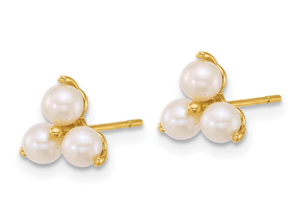 14k Yellow Gold Earrings Style YE2255 - Classique Jewelry Inc.