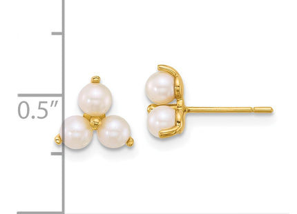 14k Yellow Gold Earrings Style YE2255 - Classique Jewelry Inc.