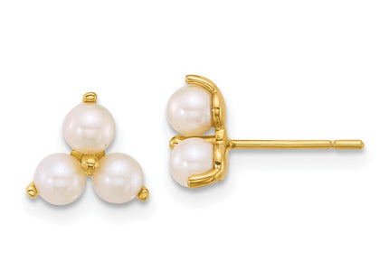 14k Yellow Gold Earrings Style YE2255 - Classique Jewelry Inc.