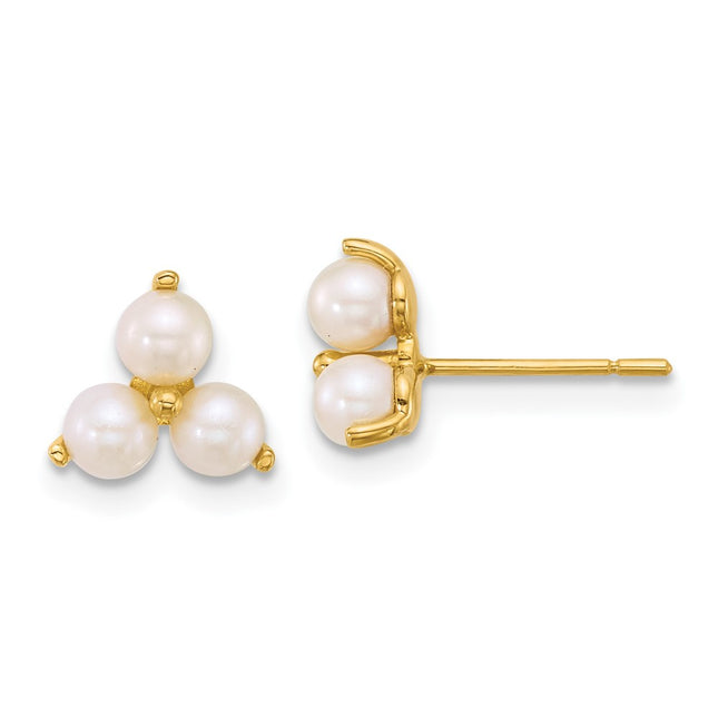 14k Yellow Gold Earrings Style YE2255 - Classique Jewelry Inc.