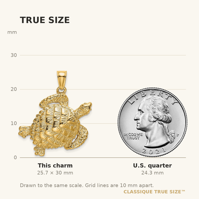14K Textured Sea Turtle Charm, 30 x 26.4mm