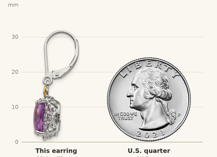 Classique True Size: Shey Couture Sterling Silver Antiqued with 14K Accent Cushion Amethyst Leverback Dangle Earrings shown next to a US quarter (24.3 mm)