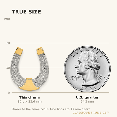 14K w/ Rhodium Horseshoe Chain Slide Charm, 23.57 x 15.55mm