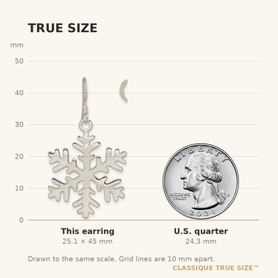 Sterling Silver Snowflake Dangle Earrings, 45 x 25mm