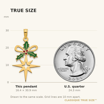14K Epoxy Holly and North Star Pendant