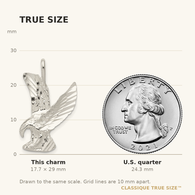 Sterling Silver Eagle Charm, 29 x 18mm