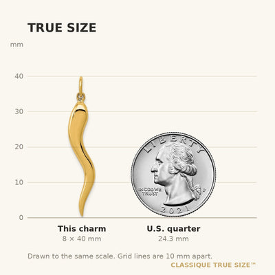 14K Large 3D Italian Horn Charm