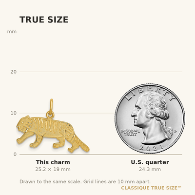14K Tiger Charm, 19 x 25mm