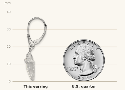Classique True Size: De-Ani Sterling Silver Rhodium-Plated Enameled Small Conch Shell Leverback Earrings shown next to a US quarter (24.3 mm)