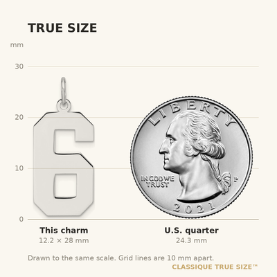 Sterling Silver/Rhodium-plated Polished Number 6 Charm, 27.96 x 12.32mm