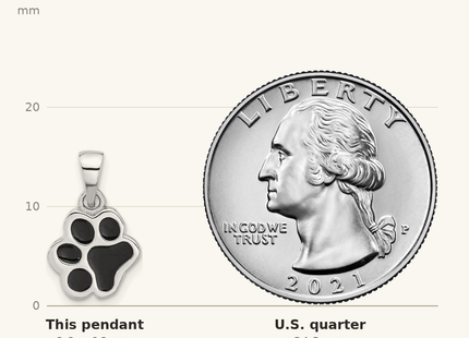 Classique True Size: Sterling Silver Rhodium-plated Enameled Dog Paw Pendant shown next to a US quarter (24.3 mm)