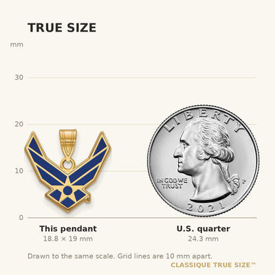 14K Gold LogoArt U.S. Air Force Large Enamel Pendant