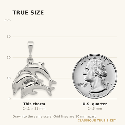 14K White Gold Dolphin Charm, 31 x 23mm