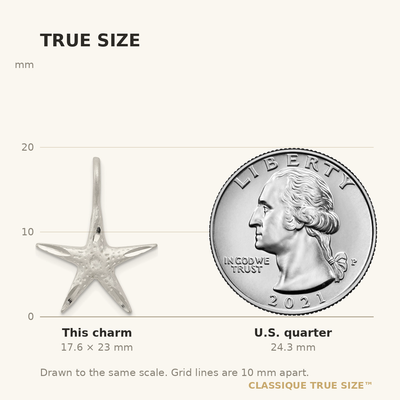 Sterling Silver Starfish Charm, 23 x 18mm