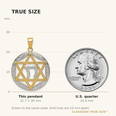 14K w/Rhodium Polished Star of David w/Chai Round Pendant