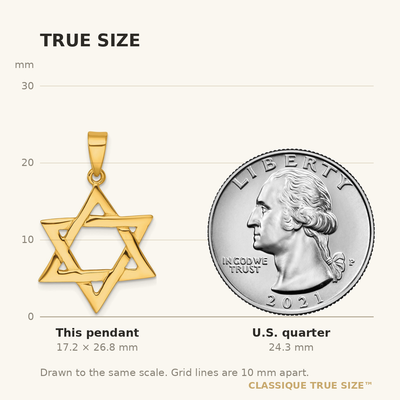 Sterling Silver Gold-tone Polished Star Of David Pendant