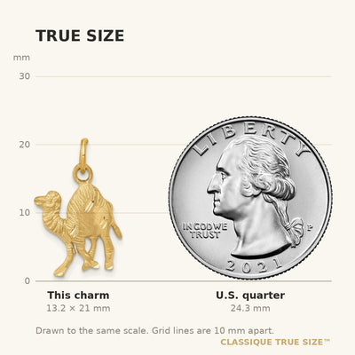 14K Camel Charm
