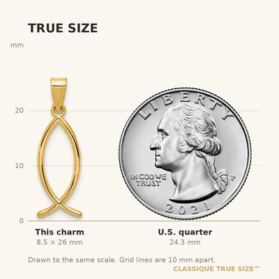 14K Ichthus Fish Charm, 26 x 9mm