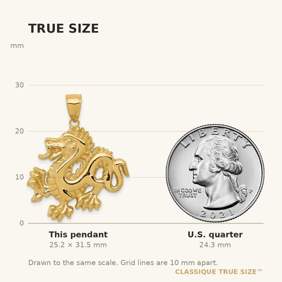 14K Solid Polished Dragon Pendant, 31.5 x 26mm