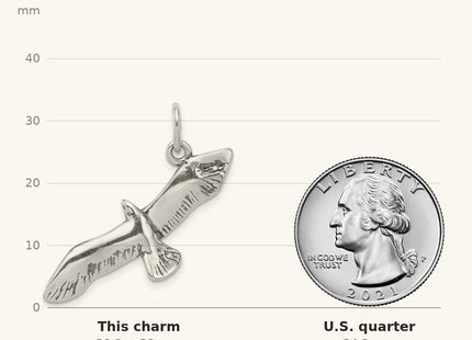 True size: Sterling Silver Antiqued Wing Spread Seagull Charm shown next to a US quarter (24.3 mm)