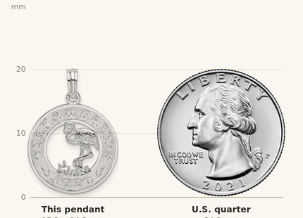 Classique True Size: De-Ani Sterling Silver Rhodium-Plated Textured Turks and Caicos with Flamingo Pendant shown next to a US quarter (24.3 mm)