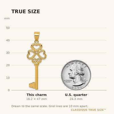 14K Polished 3D Hearts KEY TO MY HEART Key Charm