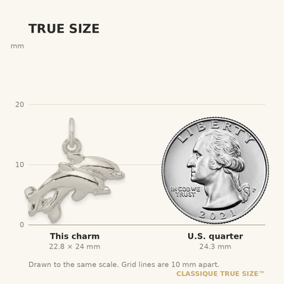 Sterling Silver Dolphins Charm, 24 x 24mm