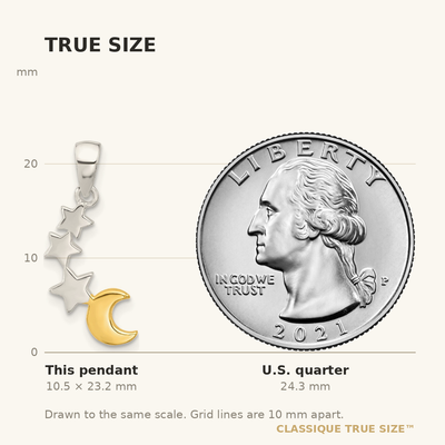 Sterling Silver E-Coat and Gold-tone Star and Moon Pendant